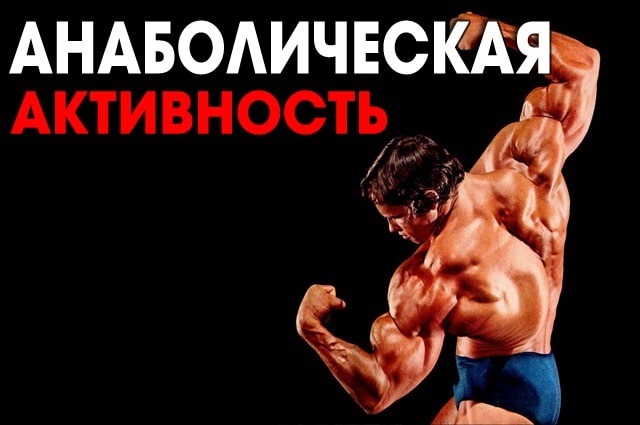 Анаболическая активность